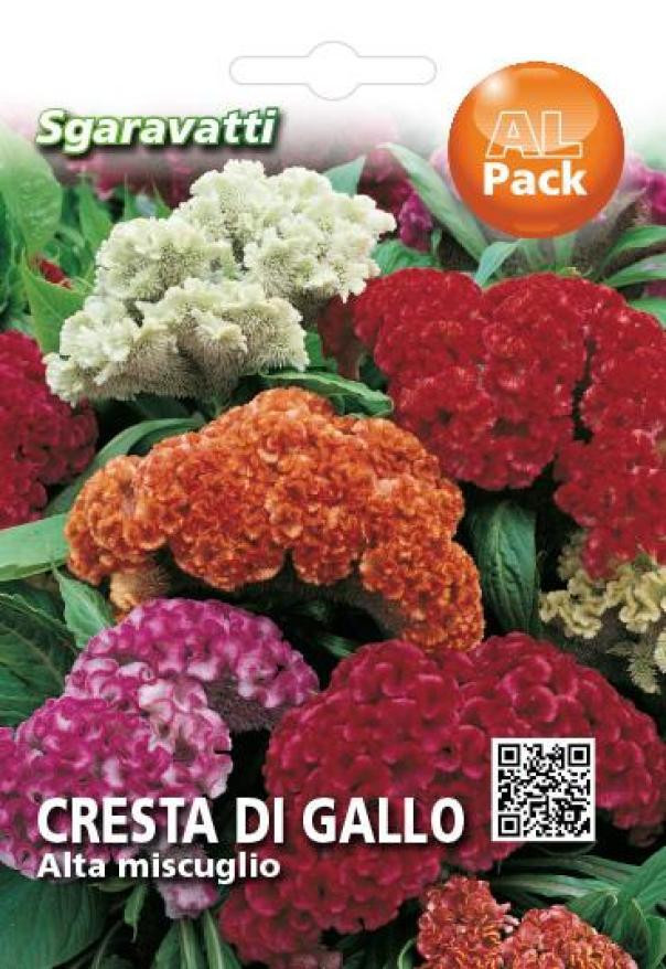 Cresta di Gallo Alta Miscuglio Alpack