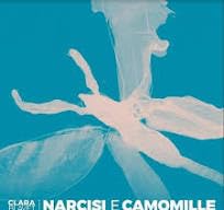 Narcisi E Camomille