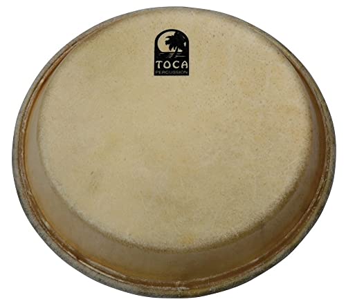 Testa Di Conga Toca 12 1/2" Tp-39012-1/2 Serie Tradizionale