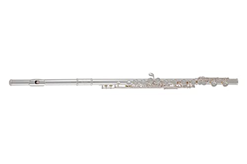 Roy Benson Flauto Traverso Fl-602E (Design Premium Placcato In Nichel, Cuscinetto Pisoni E Innovativo Meccanismo E, Strumento Di Lusso, Compresi Gli A