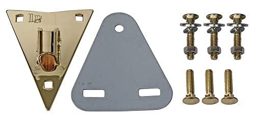 Lp Latin Percussion Piastra Laterale Conga Galaxy E Palladio, Oro - Lp974