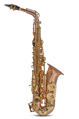 Roy Benson Eb-Alt Saxophone As-202G (Lussuoso Corpo In Bronzo, Chiavi In Ottone Laccato, Chiave F# Alta, Bilanciere B/B, Bocchino Di Qualità Superiore