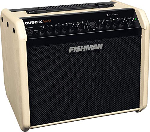 Fishman Pro-Lbt-500-Cr - Loudbox Mini 60 Watt Bluetooth Combo Acustico
