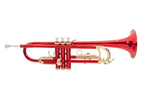 Roy Benson Bb Trumpet Tr-101R (Alesaggio Ml, Valvole In Acciaio Inossidabile, Leadpipe In Ottone Dorato, Design Elegante, In Custodia Rettangolare Leg