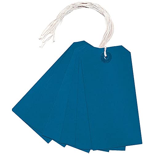 Q-Connect – 50 X Blu Bagagli Etichette Ciondolo Con Band 120 Mm X 60 Mm