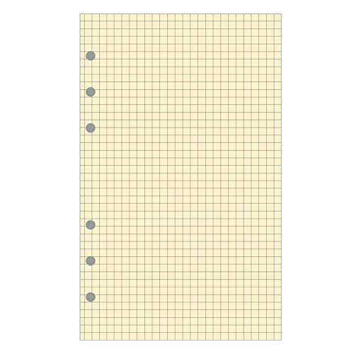 Exacompta - 28211E - Recharge Bloc De Feuilles Quadrillé Pour Organiseur Exatime 21-40 Feuillets Ivoires