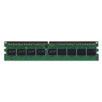 Hewlett Packard Enterprise 432668-001 Memoria 2 Gb Ddr2 667 Mhz Data Integrity Check (Verifica Integrità Dati)