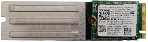 Solid State Storage Technology Corporation (Chip Kioxa) Cl4 Internal Ssd, 128Gb Pcie Gen4 X4 Nvme, M.2 2230, Model Cl4-3D128, Adatto Per Notebook, Por