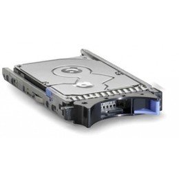 Ibm - 300 Gb 6 Gbps Nl 2,5 Sas Hs Sff **New Retail**, 81Y9670 (**New Retail**)