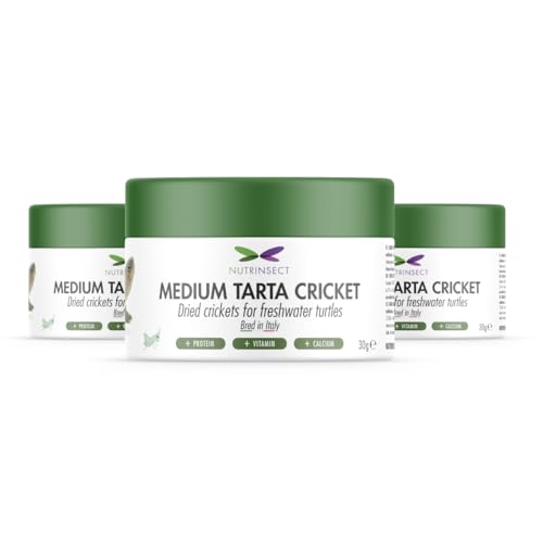 Nutrinsect - Medium Tarta Cricket - Mangime Naturale Per Tartarughe A Base Di Grilli Essiccati, Ricco Di Proteine E Nutrienti Essenziali, Pack Da 3 X