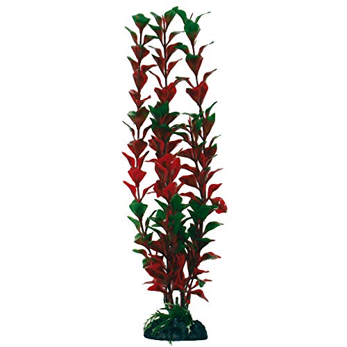 Amtra Wave Plant Classic Ludwigia Lg