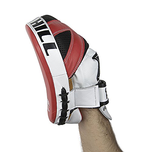 Green Hill Colpitori Professionali Focus Mitt Toucan Eagle Condor Guanti Da Passata Boxe Colpitori Maestro Pelle (Padella Piccola, Pelle - Modello Eag