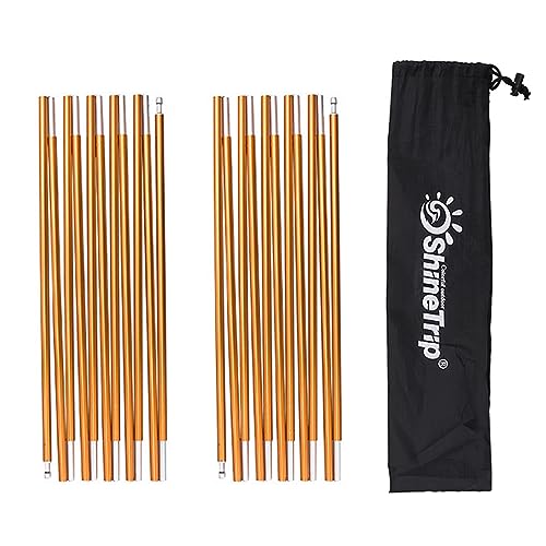 Azarxis Pali Per Tenda Stecche Tenda Campeggio Pali Alluminio Paletti Per Tende Pali Ricambio Per Tenda Campeggio Spiaggia Montagna (Oro (Un Paio), 4,