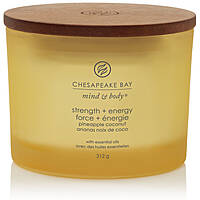 Candela Chesapeake Bay Candle Mind & Body PT40256E