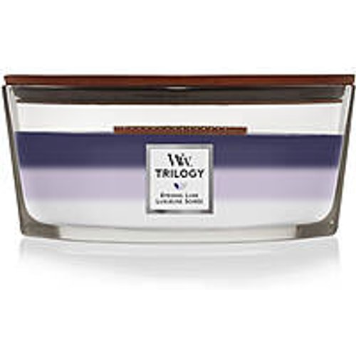 Trilogy Candela Di Woodwick Ellipse Evening Luxe 1743624E