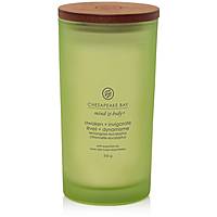 Candela Chesapeake Bay Candle Grande Mind & Body Colore Verde PT40887E