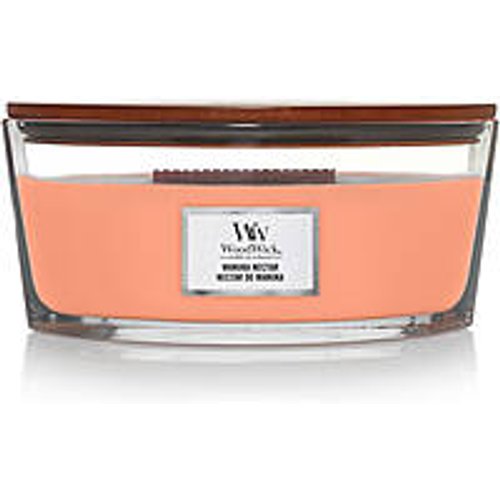 Candela Woodwick Ss24 Q1 1753971E