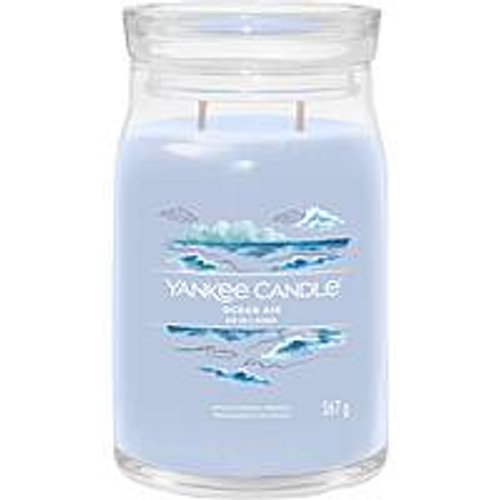 Candela Yankee Candle Signature 1629984E