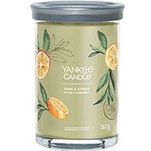 Candela Yankee Candle Signature 1630029E