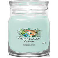 Candela Yankee Candle Ss24 Q1 1749328E