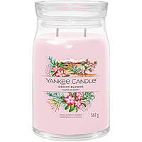 Candela Yankee Candle Ss24 Q1 1749351E