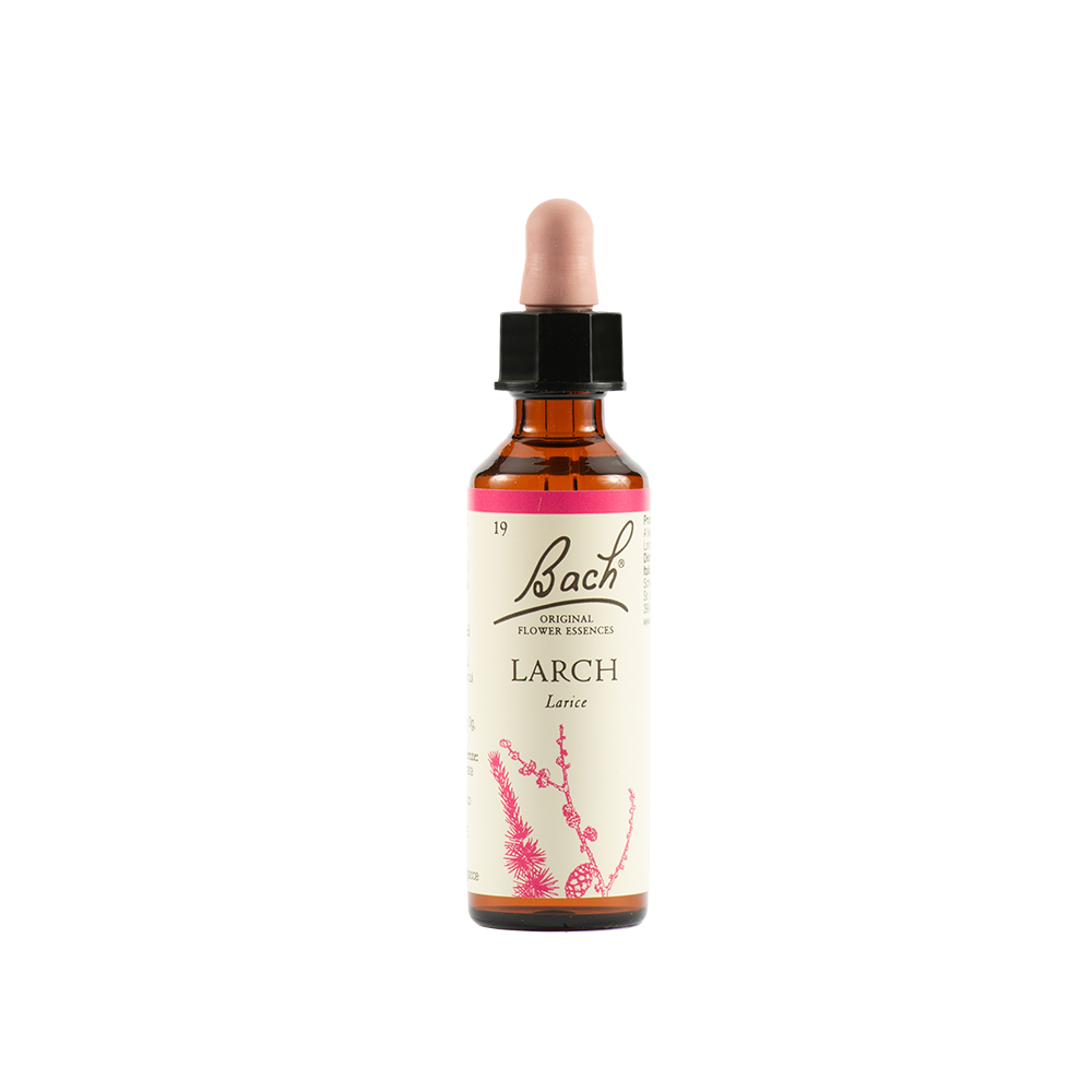 Bach 19 Larch Gocce 20ml