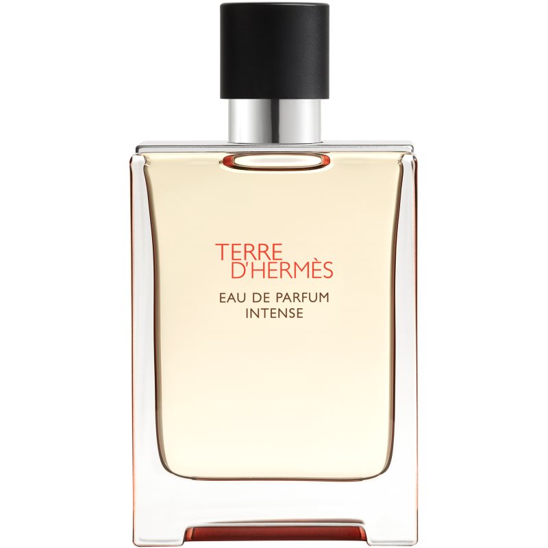 Hermès Terre D’Hermès Eau De Parfum Intense Per Uomo 100 Ml
