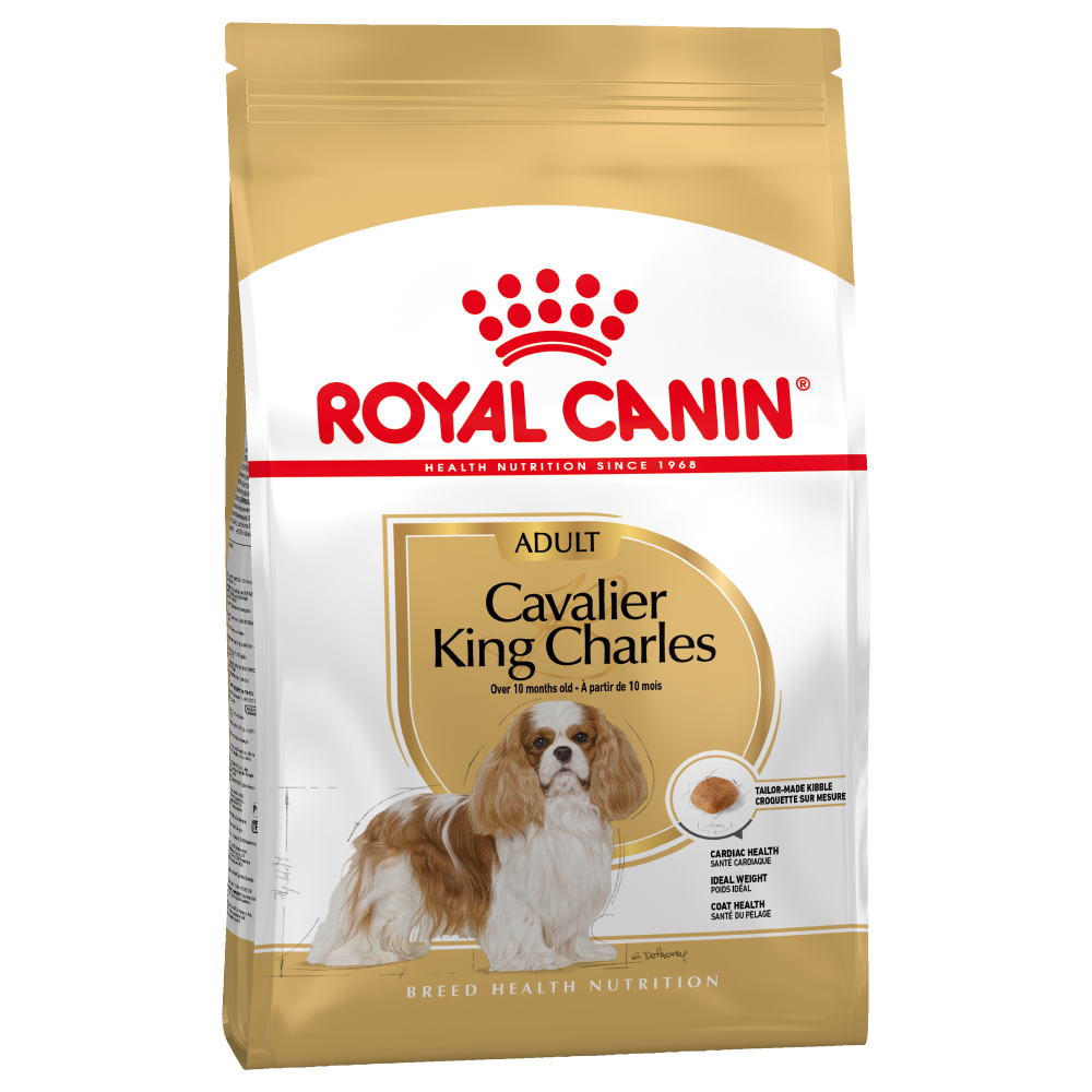 Royal Canin Cavalier King Charles Adult Crocchette per cane - 3 kg