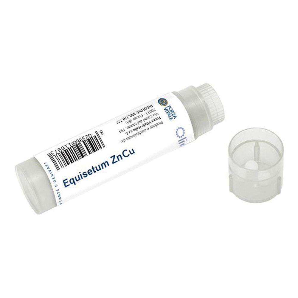Equisetum Zn/Cu 100 Globuli 4,5 g