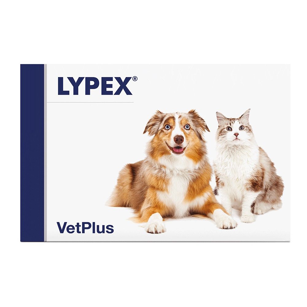 Lypex 60 Capsule pz