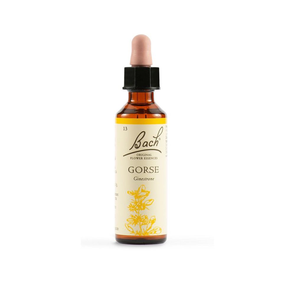 Gorse Bach Orig 20 Ml ml Gocce orali