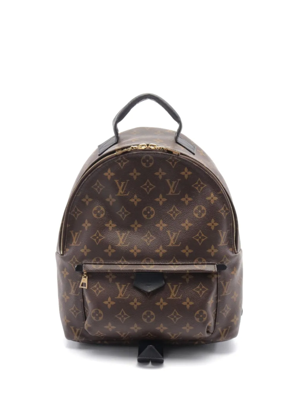 Louis Vuitton Pre-Owned 2020 Palm Springs backpack - Marrone