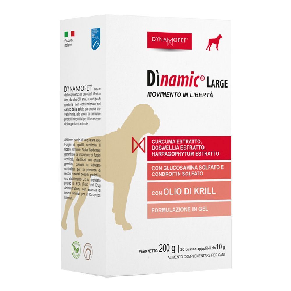 Dinamic Large 20Bust 10G 20x10 g Bustina