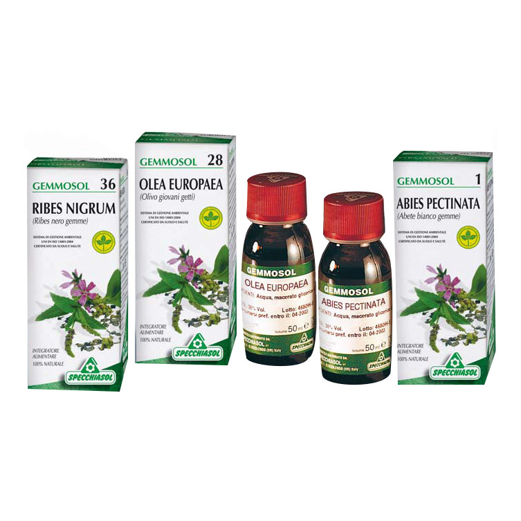 Fico 1 DH Gemme 50ml