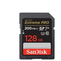 Scheda di memoria - SanDisk - Secure Digital - 128 GB