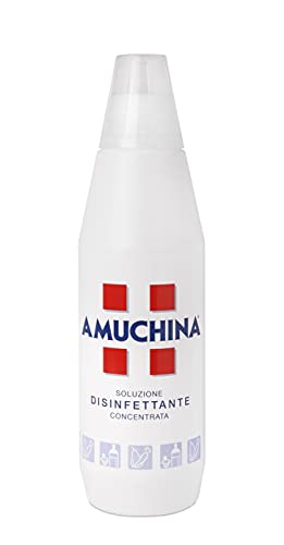 Amuchina Soluzione Disinfettante Concentrata, 1 Lt