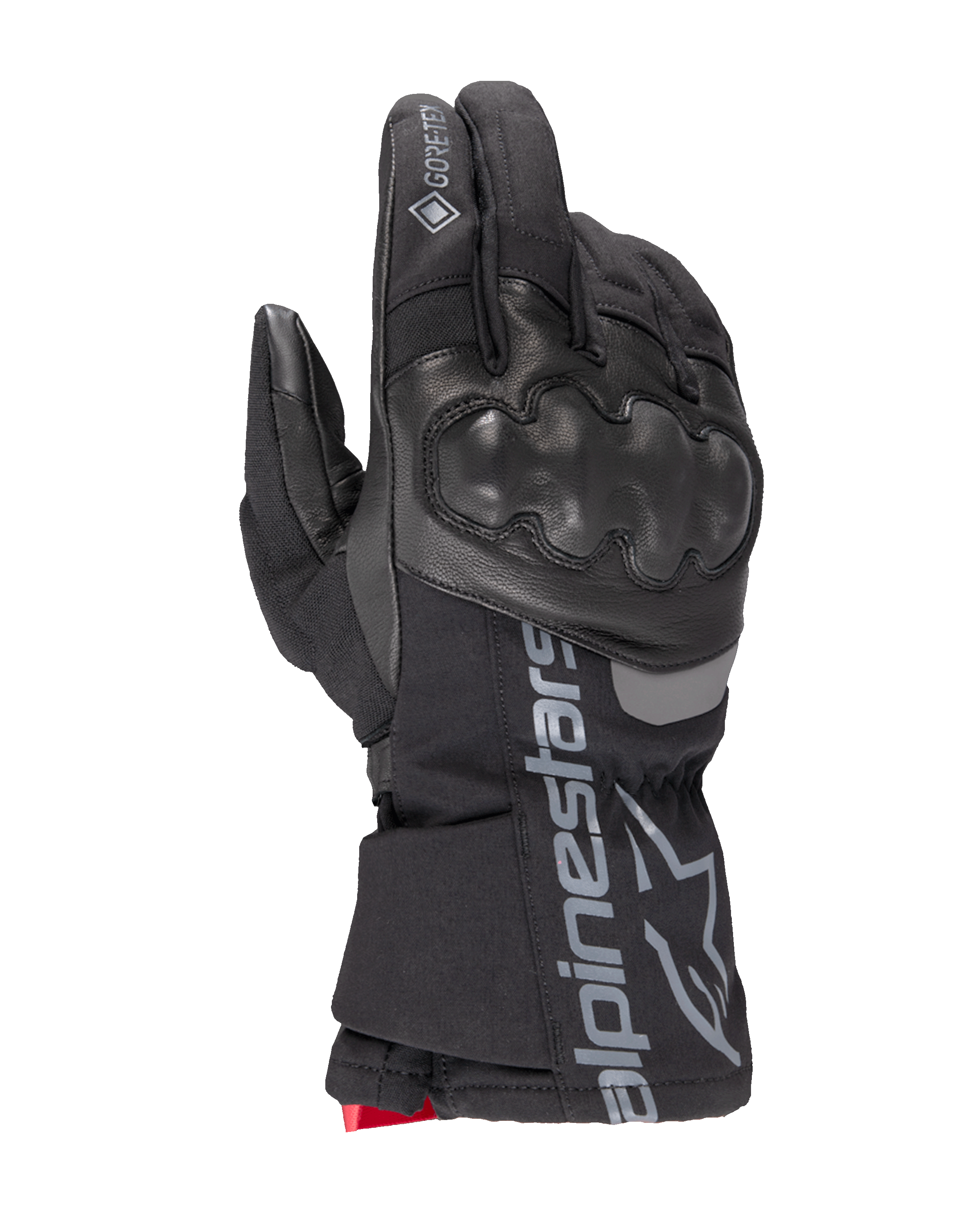 Guanti Isolanti Wt-4 Gore-Tex