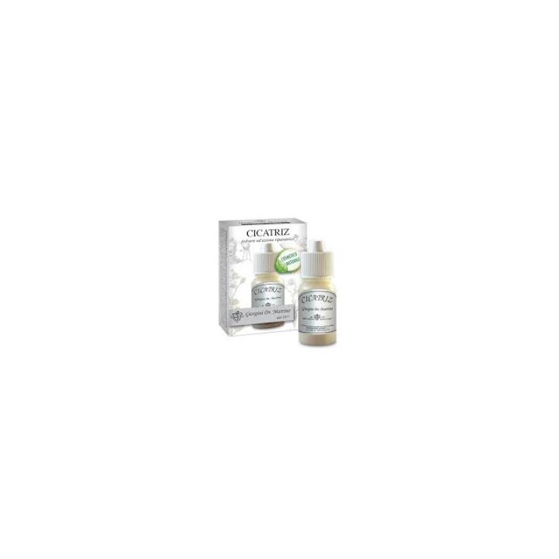 Dr. Giorgini - Dr. Giorgini Ser-vis Cicatriz Polvere 10 G