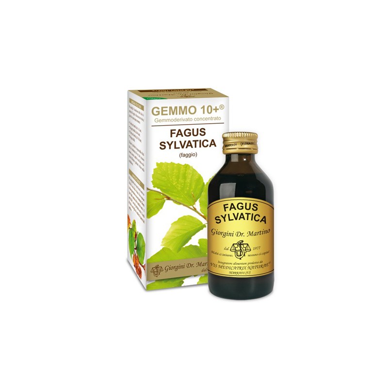 Dr. Giorgini - Dr. Giorgini Ser-vis Gemmo 10+ Faggio 100 Ml Liquido Analcolico