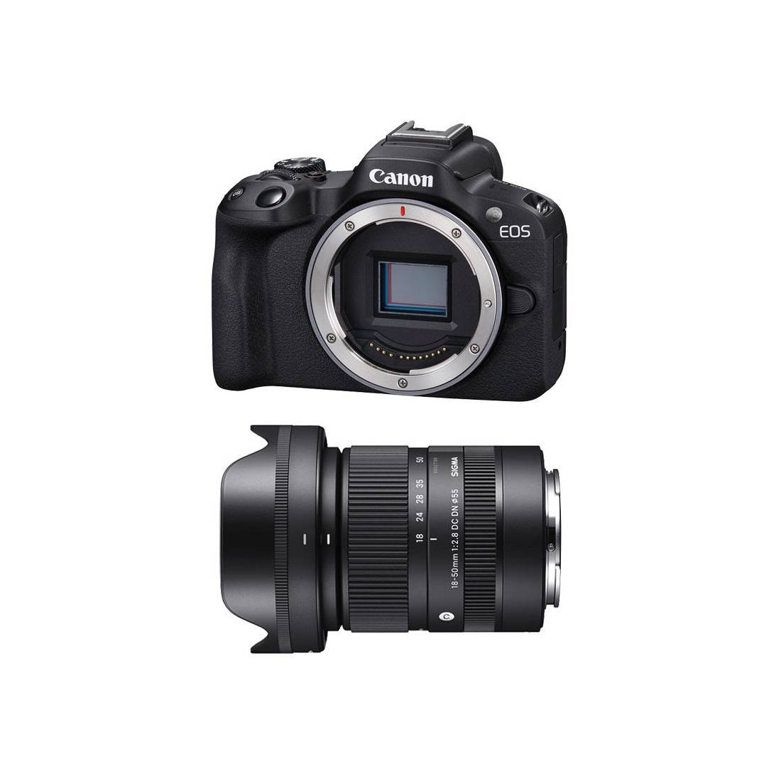 Canon EOS R50 + SIGMA 18-50mm F/2.8 DC DN Canon RF Mount