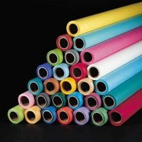 Hama 00021557 Grigio 11000 mm 2750 mm Background 275
