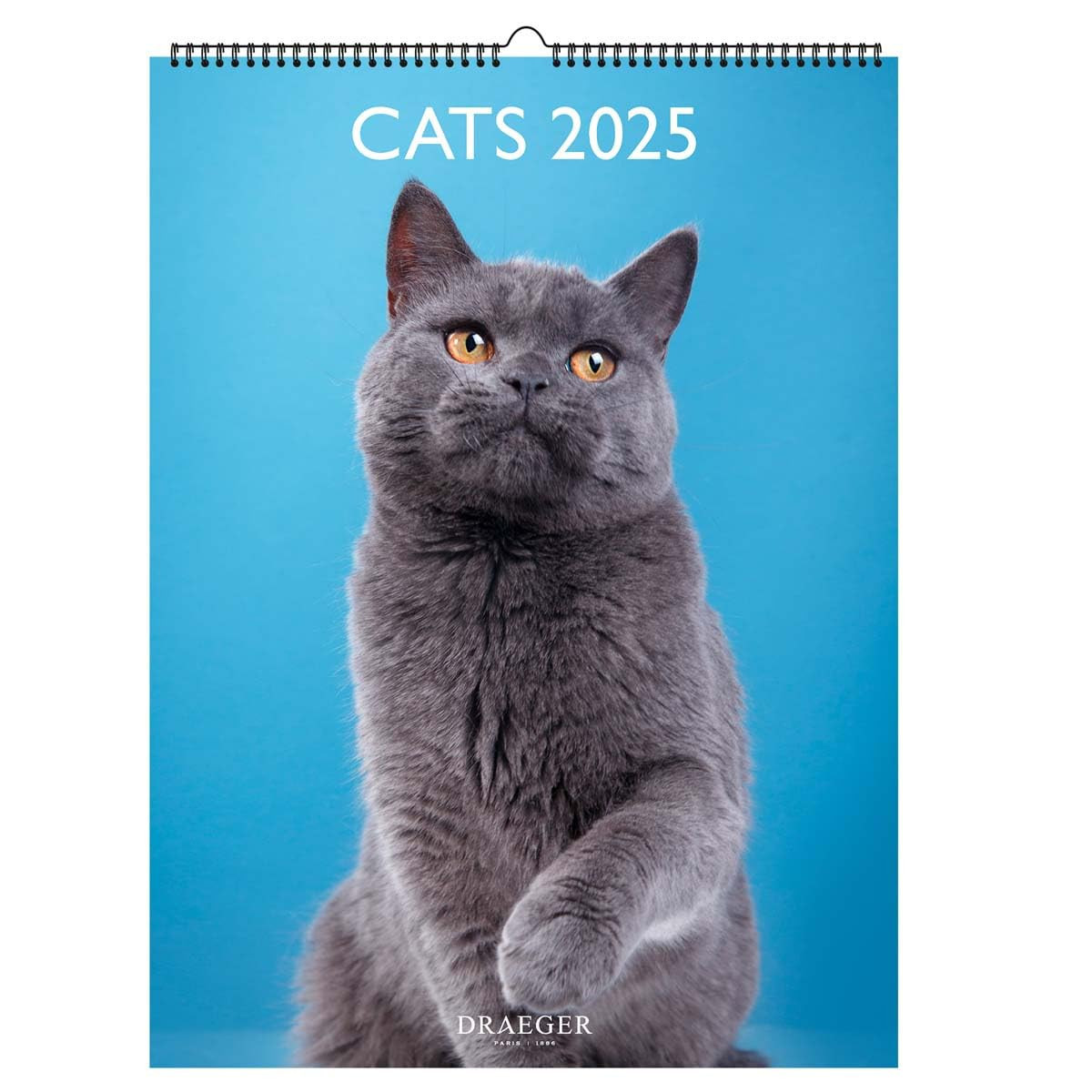 Calendario da parete decorativo 29 x 39 cm 2025 - gennaio a dicembre 2025 (I7L)