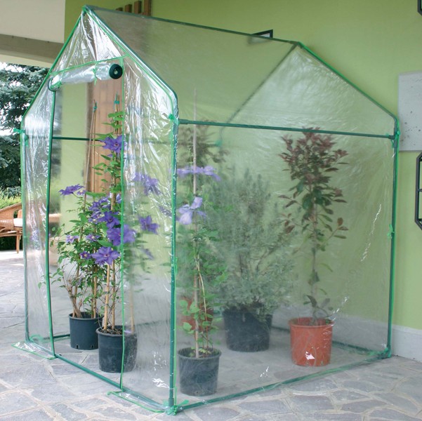 Serra a Casetta Clematis Verdemax - 155x155x205 cm - 2646 (Verde e Trasparente)