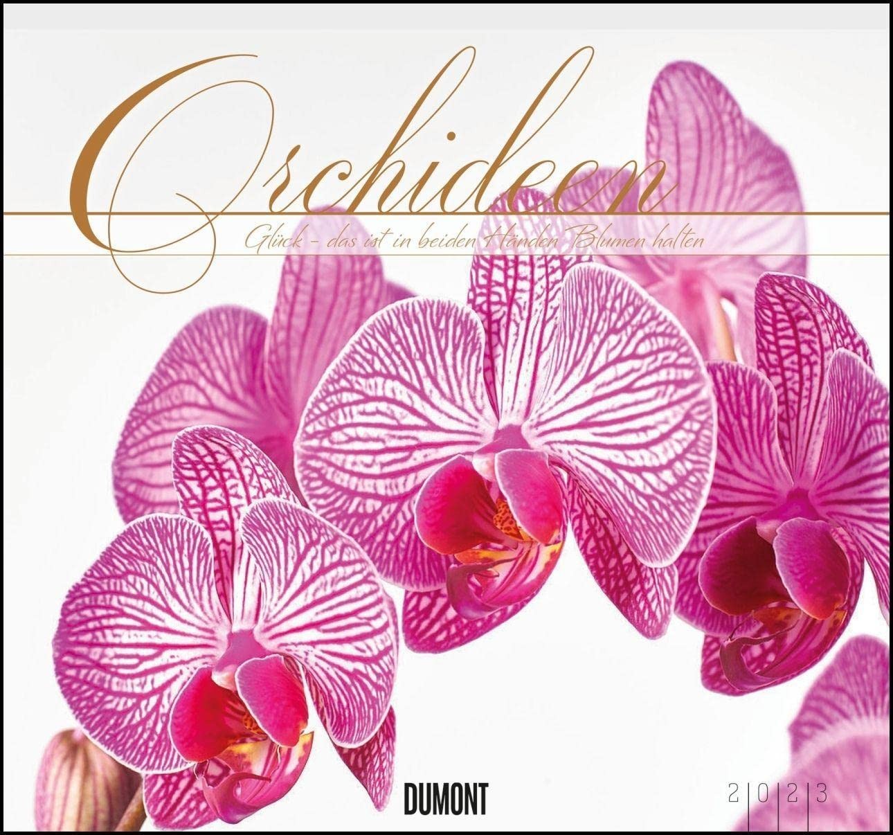 Orchideen 2023 - Calendario da parete DUMONT con le principali (g9k)