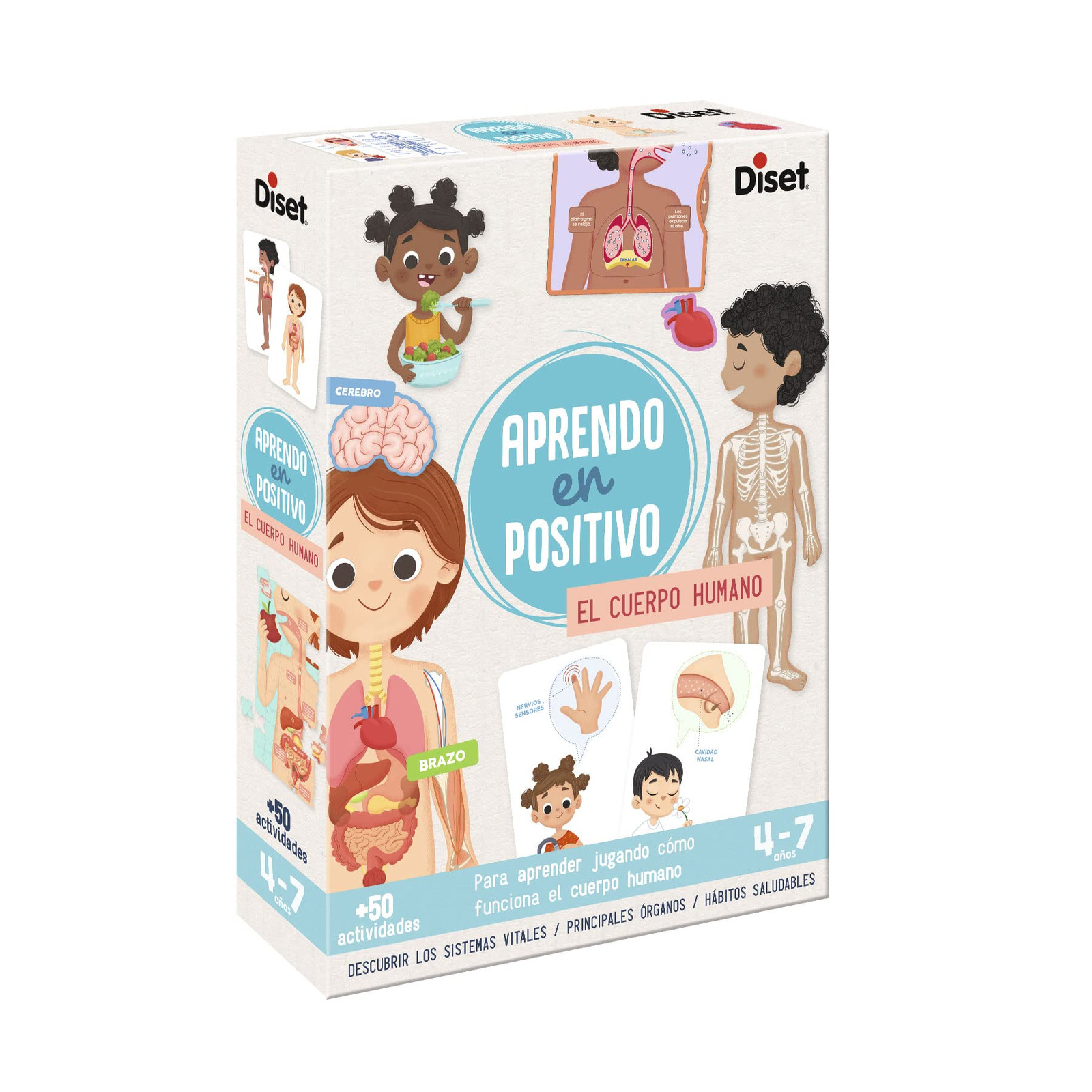 Diset- Giocattolo educativo, 41210 (S7C)