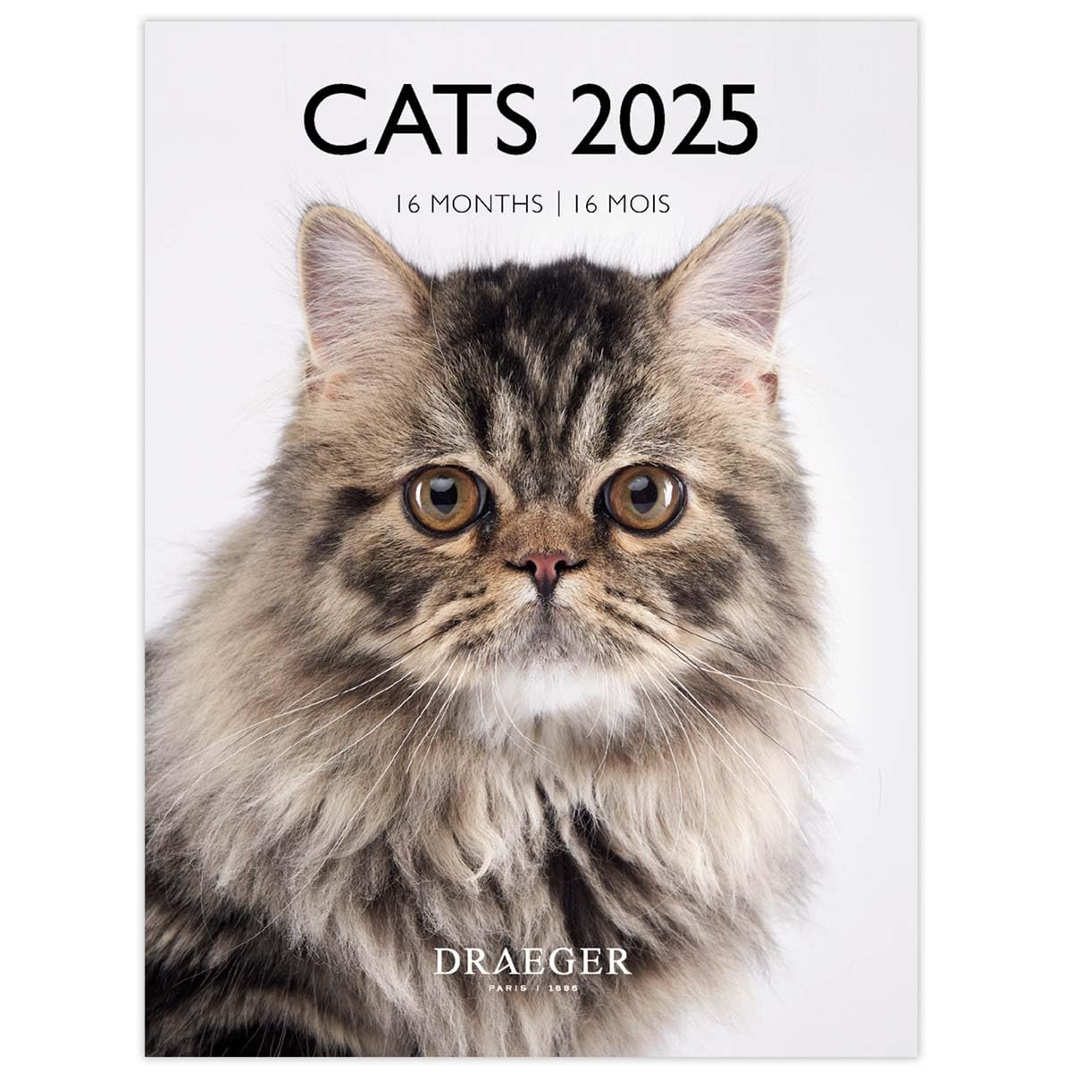 DRAEGER PARIS 1886 | Piccolo Calendario da parete Gatti 2025 | 14x18 cm | (s2e)