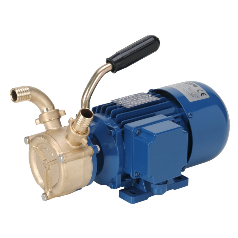 Liverani Pompa In Bronzo 24 V