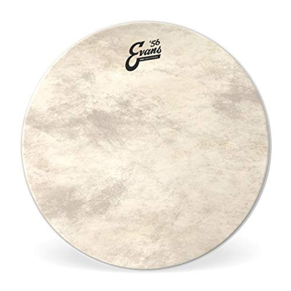 (TG. 20 Inch) Evans Bd20Gb4Ct Evans Vitello Tono Grancassa, 20 Inch - NUOVO