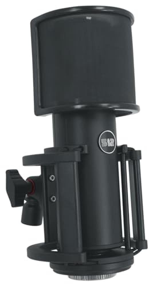512 Audio Skylight Large Diaphragm Condenser XLR Microphone for Podcasts, Stream