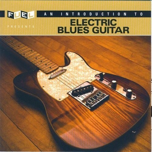 V/A-Electric Blues Guitar An Introduction To Electric Blues Guitar CD NUOVO